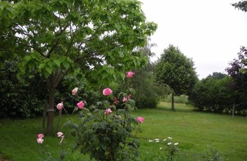 Argenton-sur-Creuse Cottage | *Spacious Gîte Near Argenton-sur-Creuse: 2 Houses, Garden, Parking, Family-Friendly*