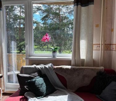 Haabersti Apartment | Spacious one room apartment with a balcony, Järveotsa tee 41