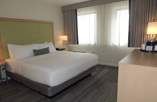 Medical Center Area Hotel | Spacious Premium King Room Near Premier Academic Sites - 1 Mile from HMS