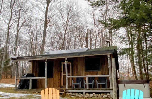 Weslemkoon Cabin | Spacious Rustic Cabin with Pond Views, Lake Access, Hot Tub and Dog-Friendly!