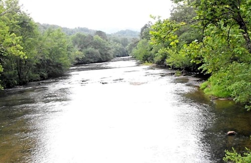Franklin Cabin | Spacious Semi-Private Cypress Siding Cabin off Tenn River on small mountain!