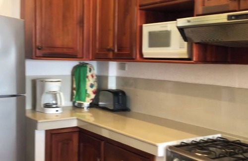 Canoa Condo | SPACIOUS,SERENE BEACH CONDO w/DIRECT OCEAN-VIEW BALCONIES! FULL KITCH
