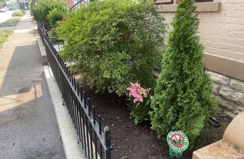 Covington House | Spacious three floor home, walking distance from the Bengals stadium.