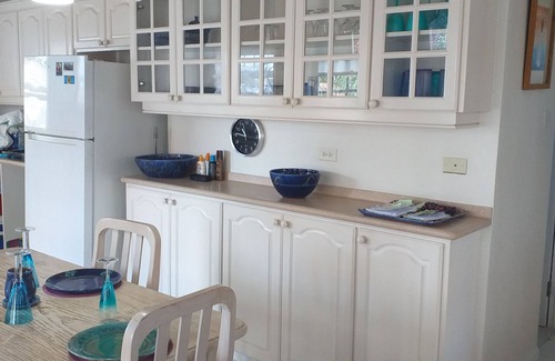 Douglas Villa | Spacious villa with plunge pool in surrounding garden. Palm trees and plants.