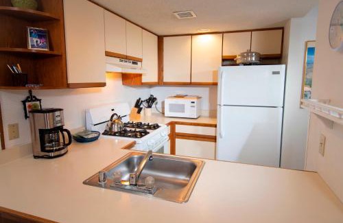 Ludlow Apartment | Spacious Winterplace 2 Br Condo- Okemo condo