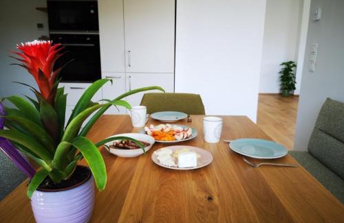 Eggenberg Apartment | Spacy Apartment next to the center of Graz with terrasse