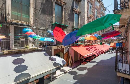 Old Town House | Spazio Pardo