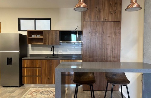Monterrey Antiguo Apartment | Spectacular Apt in Barrio Antiguo
