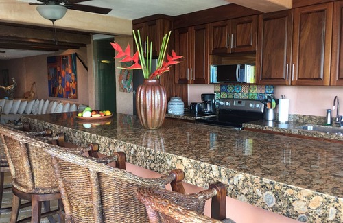 Ixtapa - Zihuatanejo Condo | Spend your days and nights gazing over La Ropa from La Casa Que Ve al Mar.