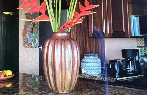 Ixtapa - Zihuatanejo Condo | Spend your days and nights gazing over La Ropa from La Casa Que Ve al Mar.