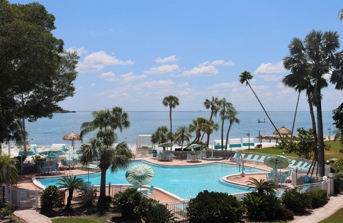Pinellas Point House | Splash and Relax! Private Beach, Onsite Pool, Pet-friendly Accommodation
