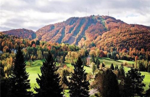 Bromont Apartment | Splendid Mountain View Condo with Pool & BBQ- Ski, MTB, Cycling, Golf, Telework!