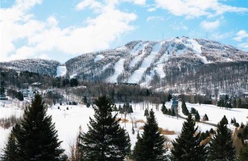 Bromont Apartment | Splendid Mountain View Condo with Pool & BBQ- Ski, MTB, Cycling, Golf, Telework!