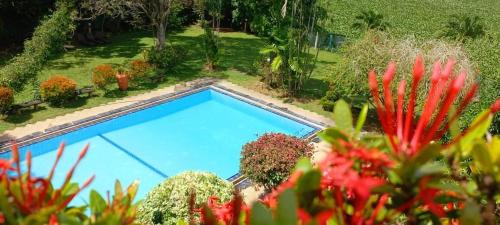 Dambulla Villa | Spring Of Life Ayurveda Resort