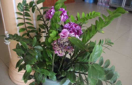 Svay Pao Hotel | Spring Park Hotel