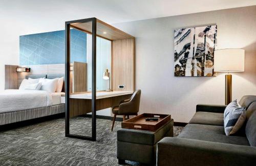 Arrowood Hotel | SpringHill Suites by Marriott Charlotte Arrowood