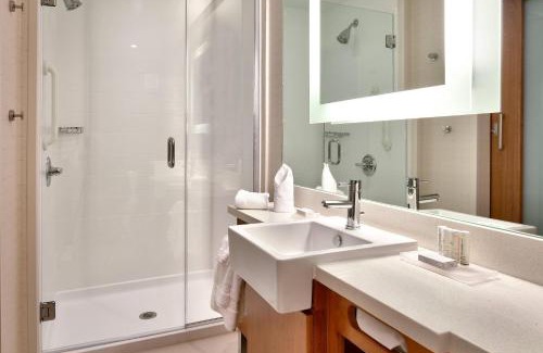 Houston Hotel | SpringHill Suites by Marriott Houston I-45 North
