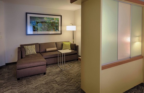 Newtonville Hotel | SpringHill Suites by Marriott Albany-Colonie