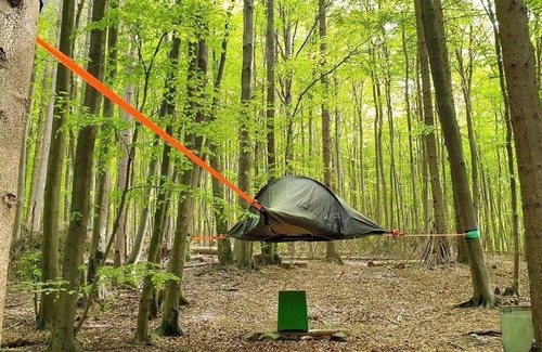 Solling Apartment | Spruce tree tent - Baumhaushotel Solling