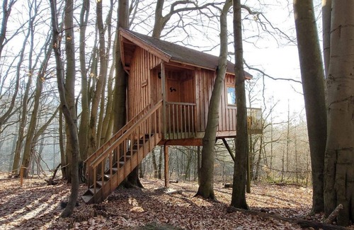 Solling Apartment | Spruce tree tent - Baumhaushotel Solling