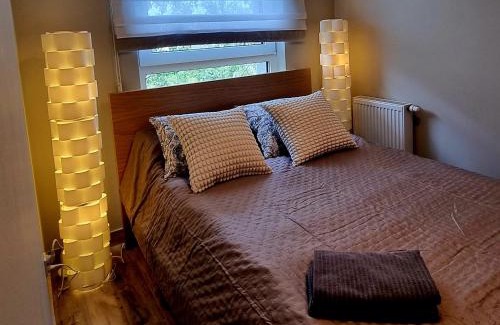 Lodz Apartment | Srebrna Ostoja 65- Atlas Arena, PIOTRKOWSKA, Manufaktura, PRYWATNY PARKING