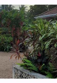 Negombo House | Srilal's Guest House
