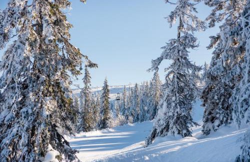 Stoten Apartment | Stöten Mitt Lägenheter