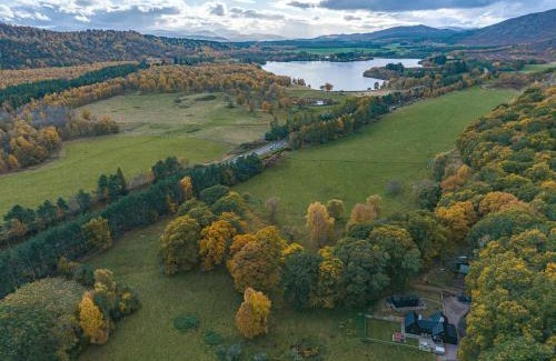 Doune House | Stag's Hide