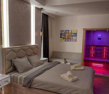 Central Serbia Apartment | Stan na dan PREMIUM 1 Obrenovac