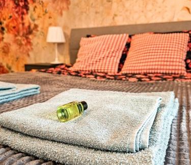 Elblag Apartment | STARE MIASTO KWIATY