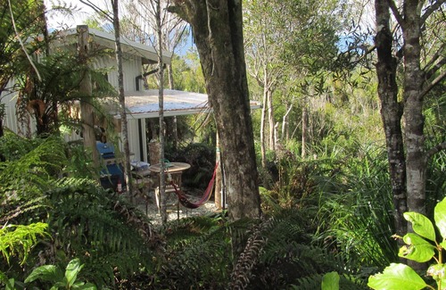 Charleston Cabin | Stay off the grid immersed in native flora and fauna