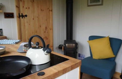 Sampford Brett Cabin | Steam & Stars Luxury Glamping -Willow shepherd hut