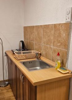 Stara Planina Apartment | Stefanović - Studio 1