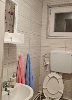 Stara Planina Apartment | Stefanović - Studio 1