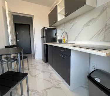 Ciurea Apartment | Stejarilor Apartment