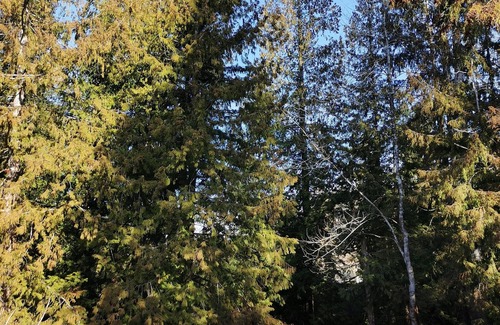 Powell River RV Rental | Steps from the Beach Off-grid Campsite - Site 3