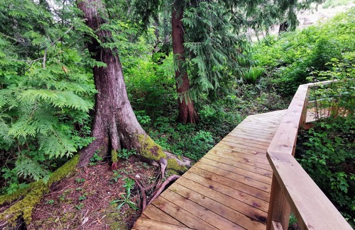 Powell River RV Rental | Steps from the Beach Off-grid Creekside Campsite