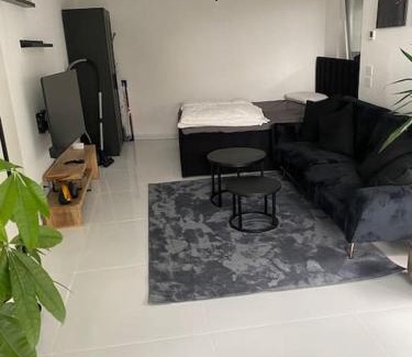 Steinsfurt Apartment | Stilvolle 1-Zimmer Wohnung mit Terasse nahe Therme und Prezero Arena