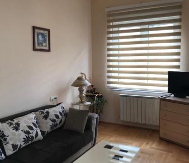 Vozdovac Apartment | STIV, Voždovac, Stepa Stepanovic