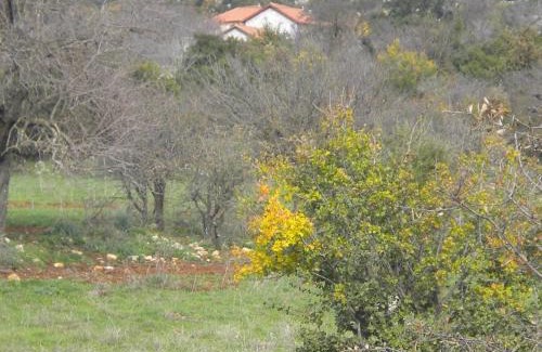 Fokiano House | Stone House in a quiet landscape, Leonidion