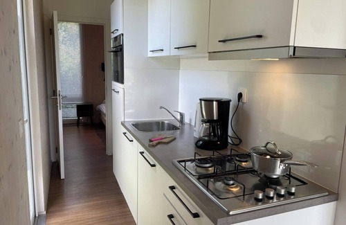 Sint Maartensvlotbrug House | Strand49 holiday house close to the beach 4 people free wifi pets allowed