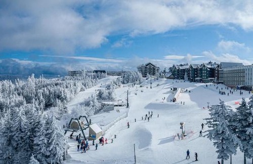 Snowshoe Apartment | Stroll to Slopes Village Area Ski in-out Unit 351