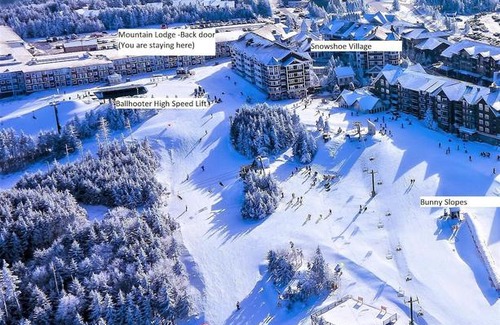 Snowshoe Apartment | Stroll to Slopes Village Area Ski in-out Unit 351