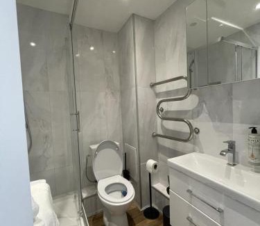 Taurage Apartment | Studija Tauragė pirmas aukštas