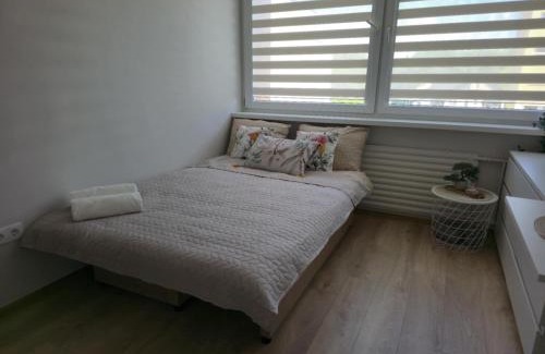 Druskininkai Apartment | Studio 11