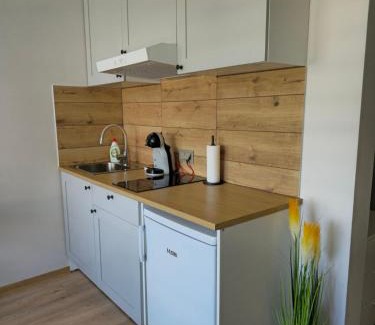 Druskininkai Apartment | Studio 11