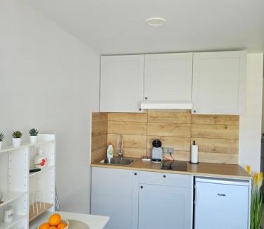 Druskininkai Apartment | Studio 11