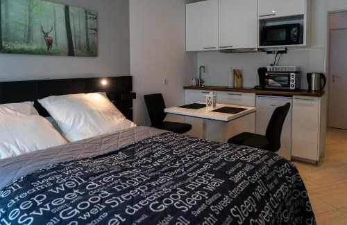 Schluchsee Apartment | Studio 20qm mit Balkon und Innenpool - 22030