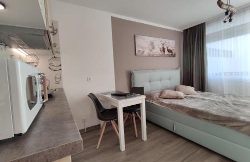 Schluchsee Apartment | Studio 20qm mit Balkon und Innenpool - 22010