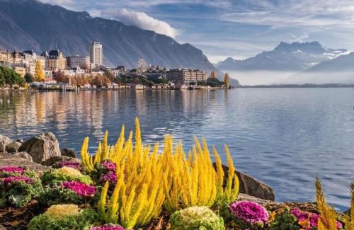 Territet Apartment | Studio 5 places à deux pas du Lac